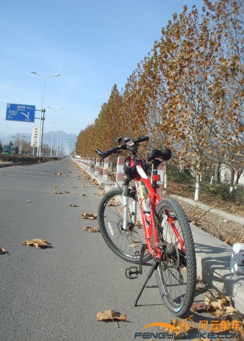 路上的风景如画