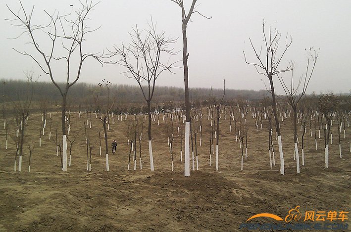 河马 XC玩high了.jpg