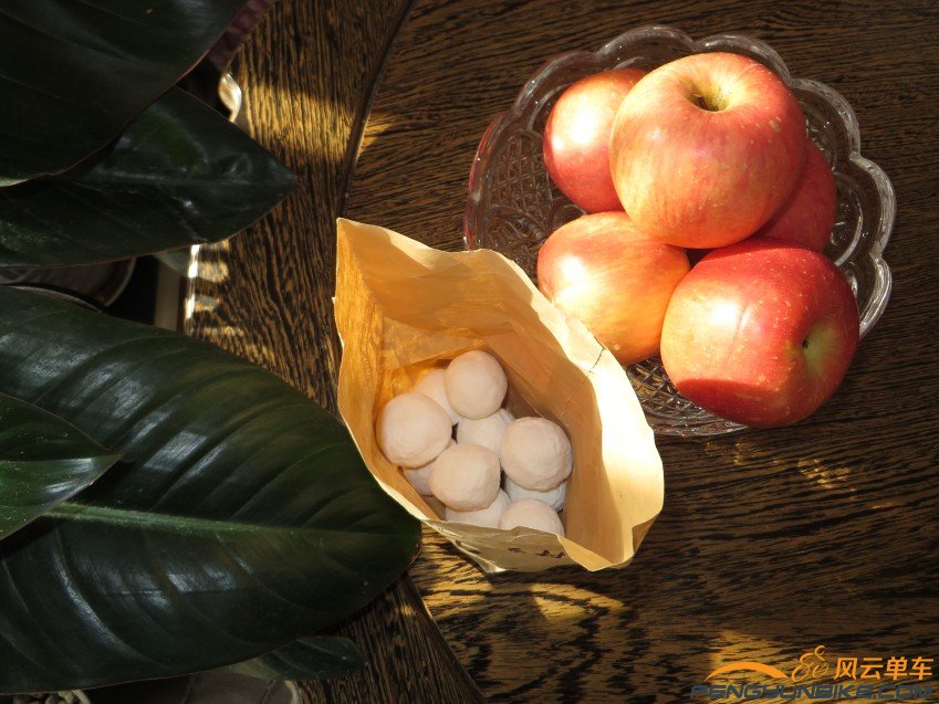 照片 3588_conew1.jpg