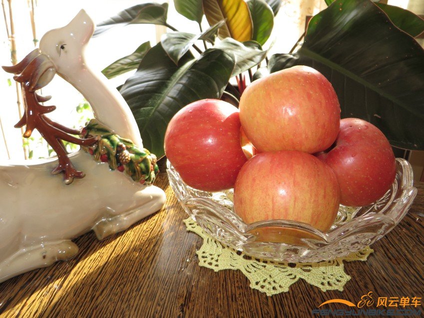 照片 3593_conew1.jpg