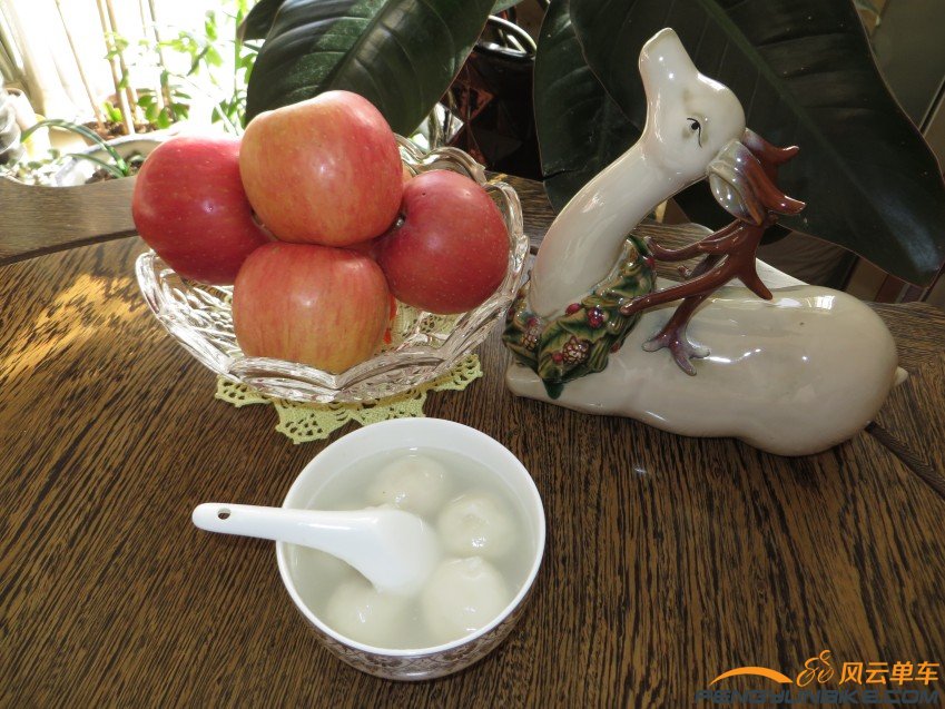 照片 3609_conew1.jpg