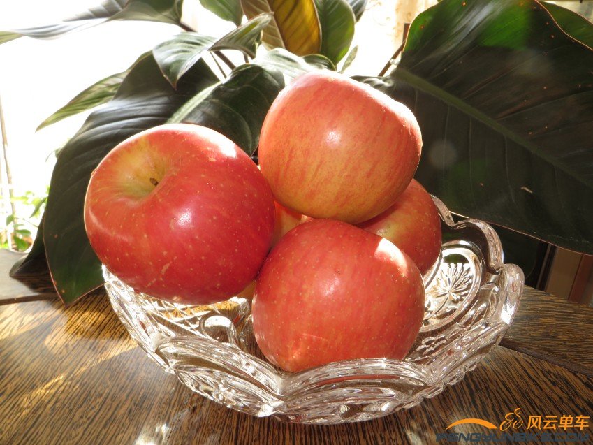 照片 3589_conew1.jpg