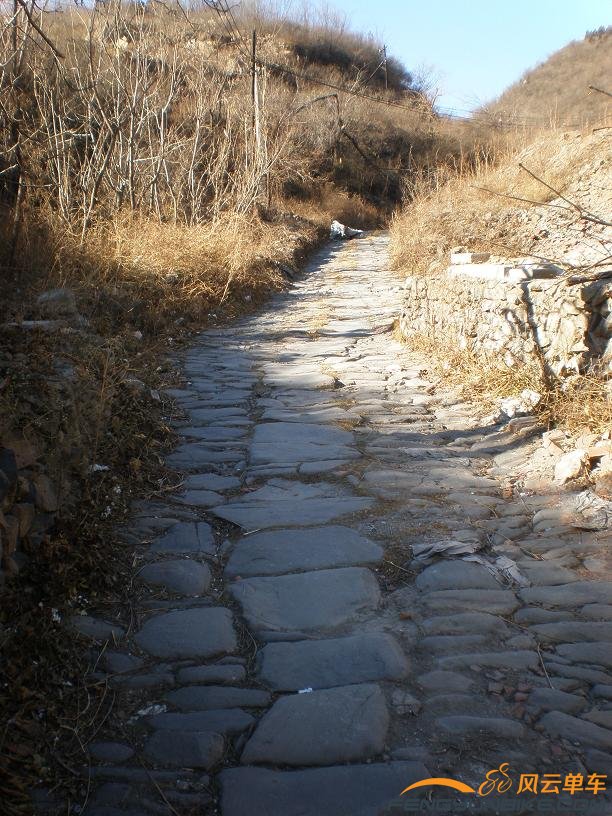 旋转 PB290018k.JPG