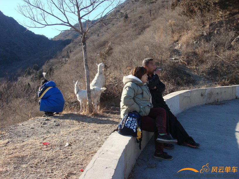 他们劝我推着上