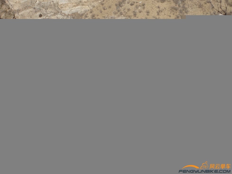 多好看的蚂蝗呀