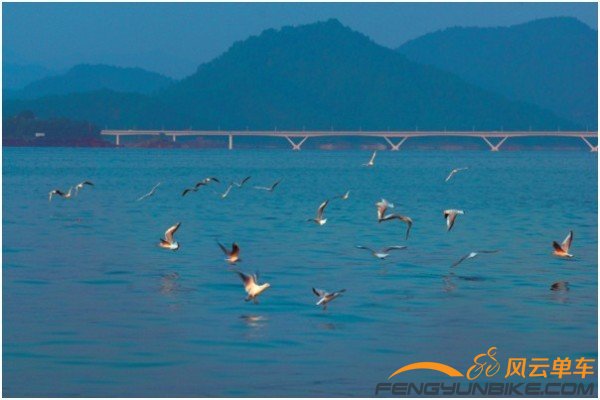 千岛湖大桥.jpg