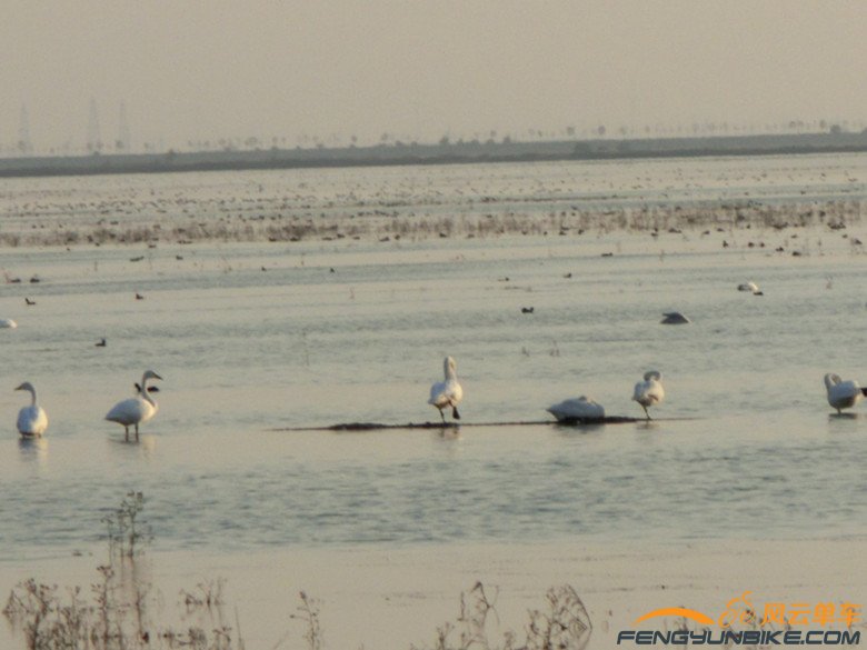 山气日夕佳，飞鸟相与还