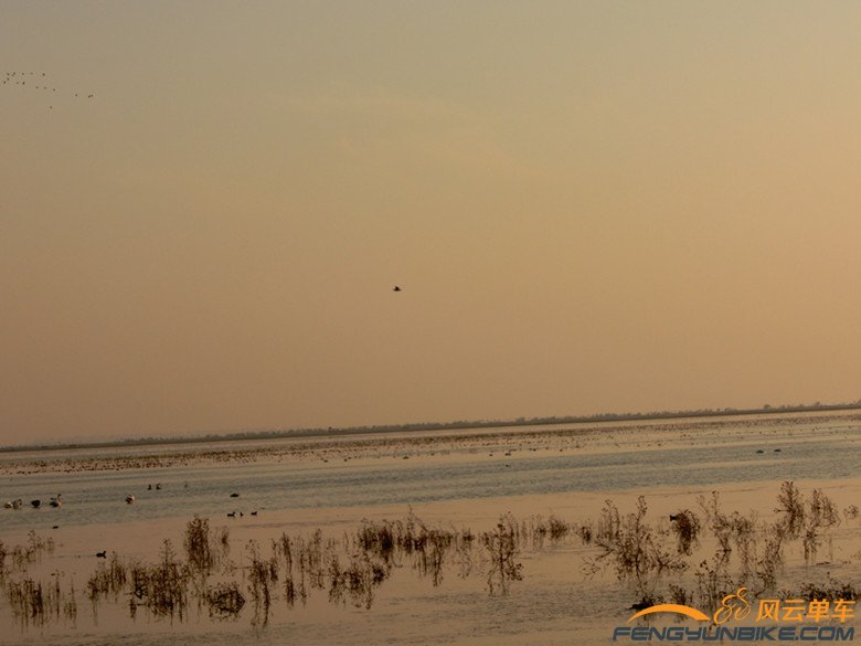 结庐在人境，而无车马喧