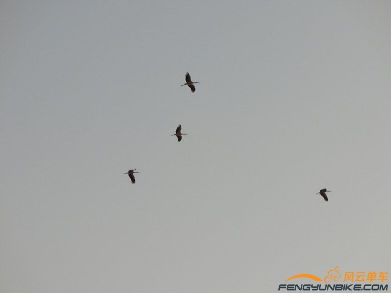 征蓬出汉塞，归雁入胡天