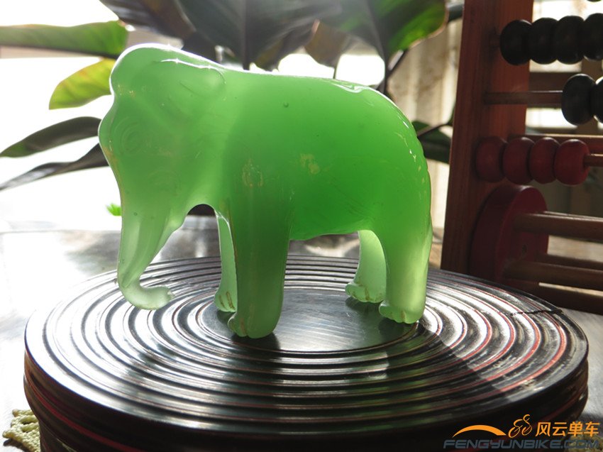 照片 3732_副本.jpg