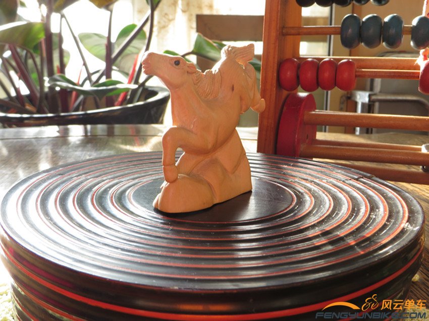 照片 3730_副本_副本.jpg