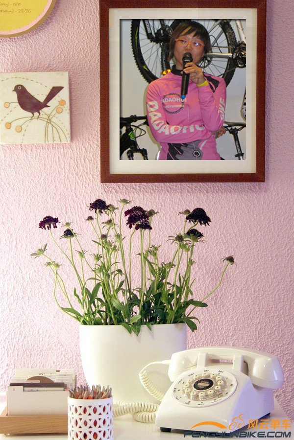 照片 3953_副本.jpg