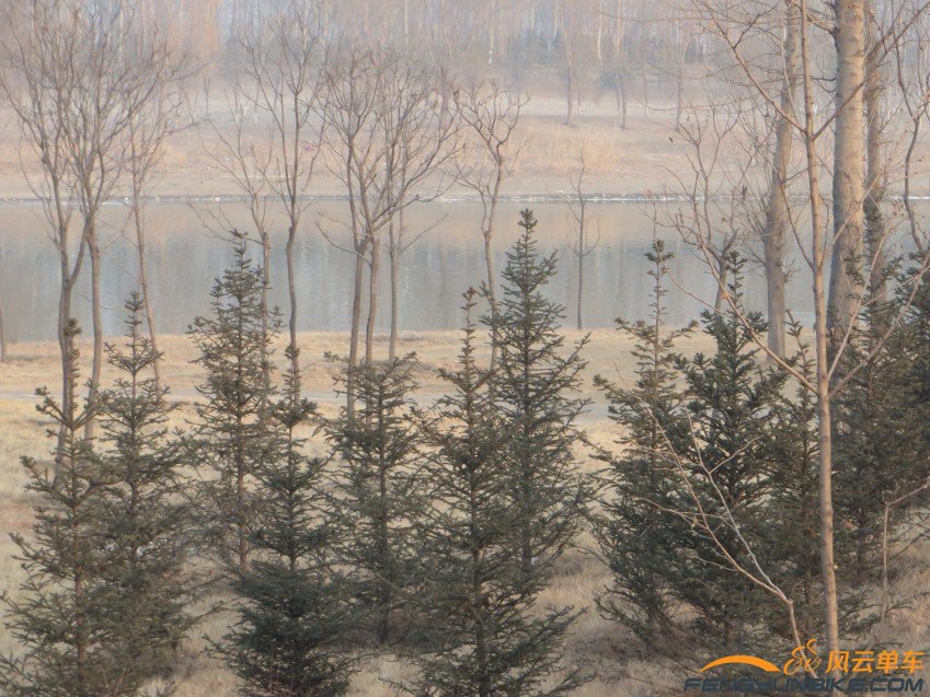 照片 4021_conew1.jpg