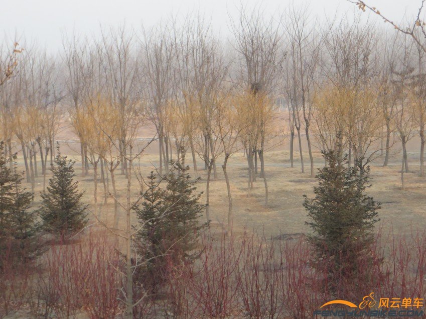 照片 4022_conew1.jpg