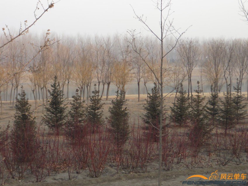 照片 4024_conew1.jpg