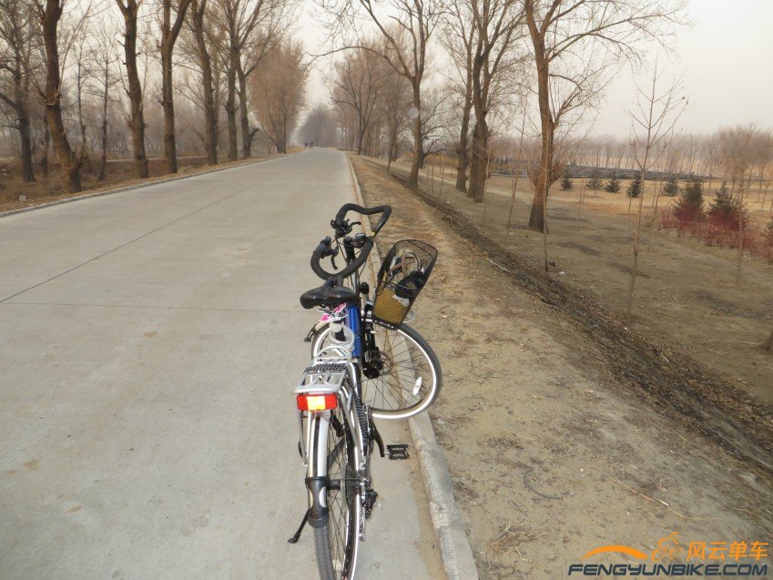 照片 4028_conew1.jpg