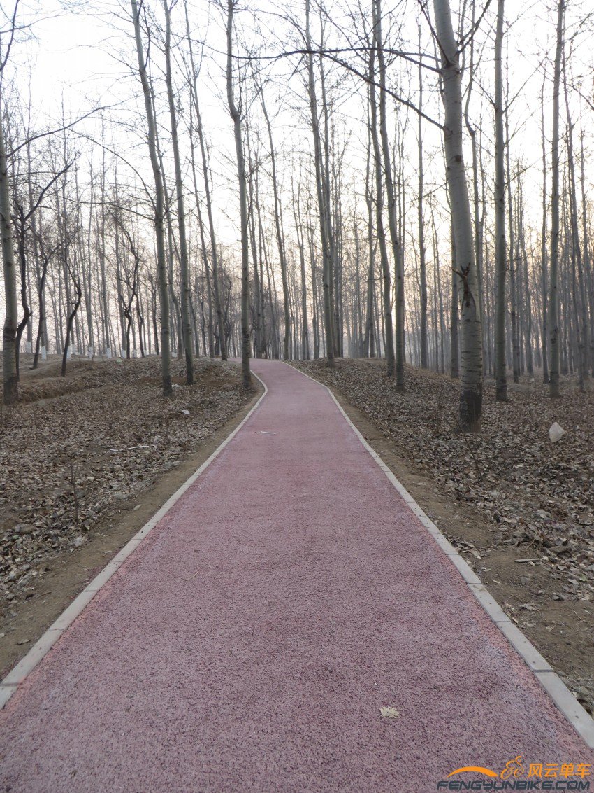 照片 4030_conew1.jpg