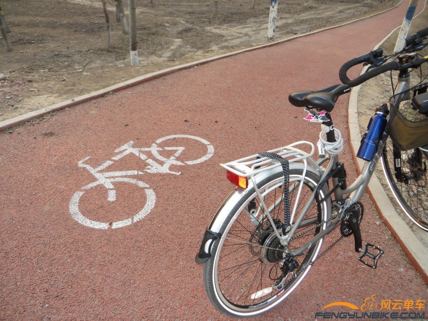 照片 4035_conew1.jpg