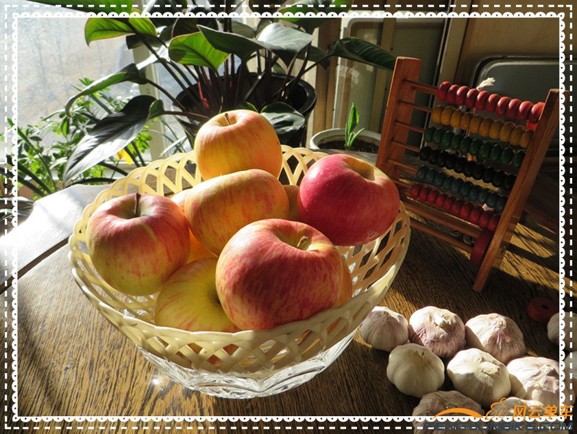 照片 4094_副本.jpg