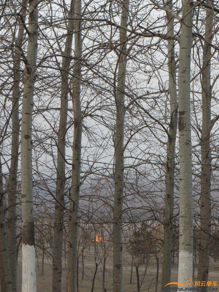 照片 4038_conew1.jpg