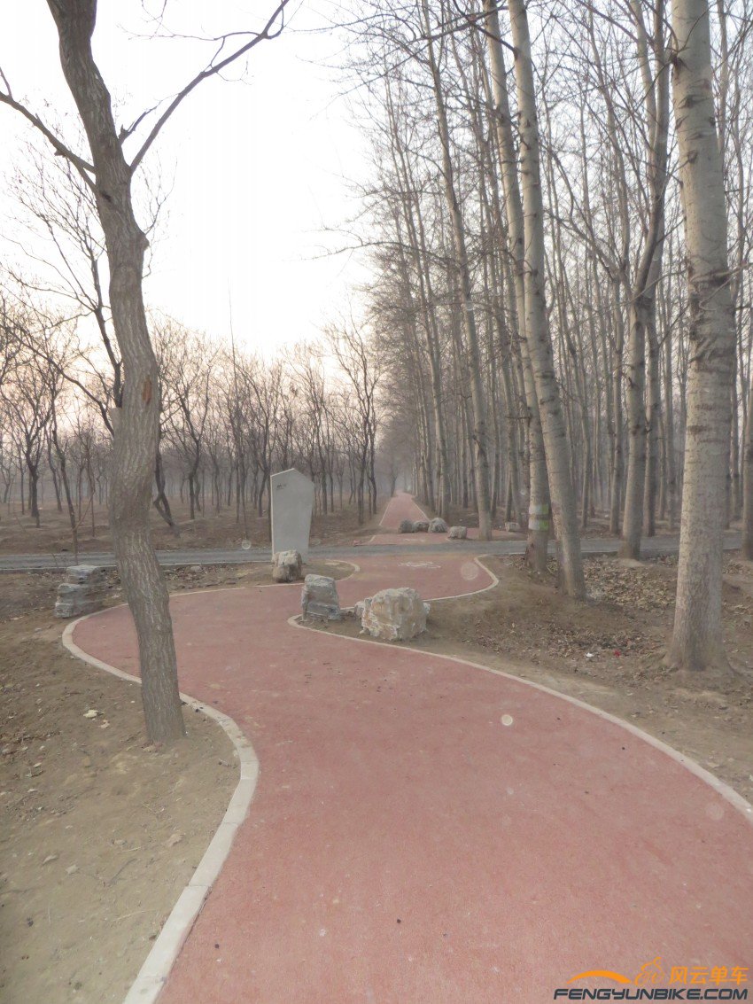 照片 4041_conew1.jpg