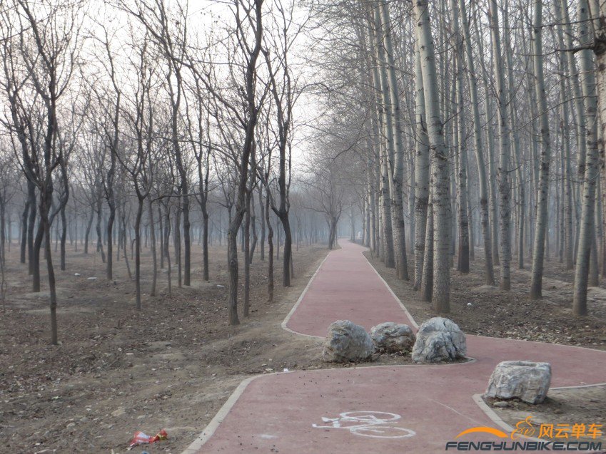 照片 4045_conew1.jpg