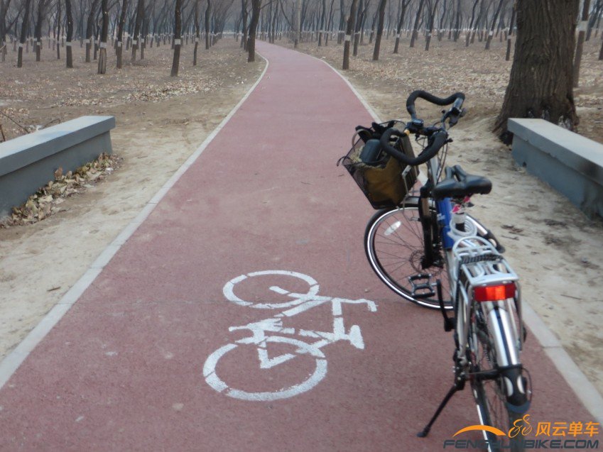 照片 4053_conew1.jpg