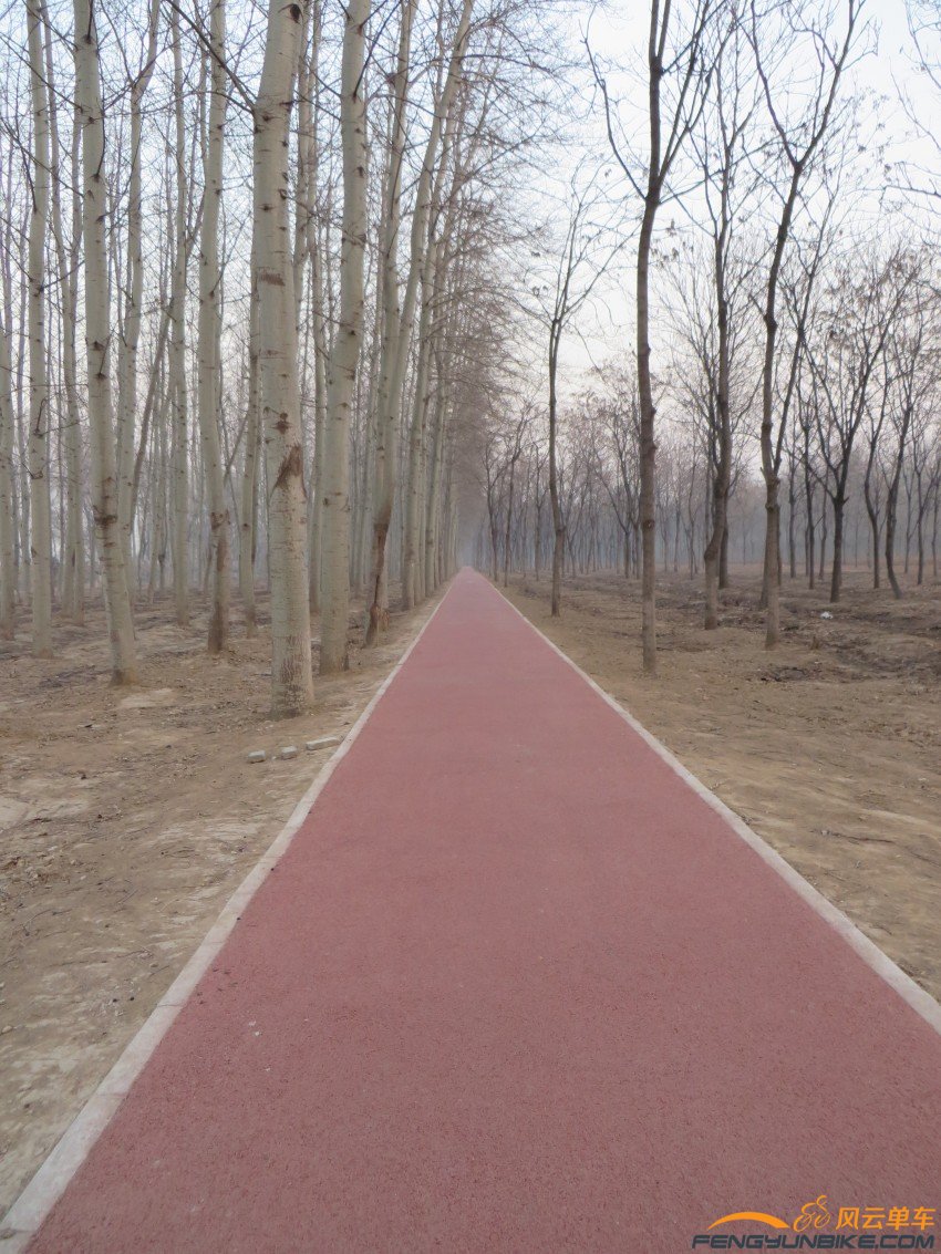 照片 4060_conew1.jpg