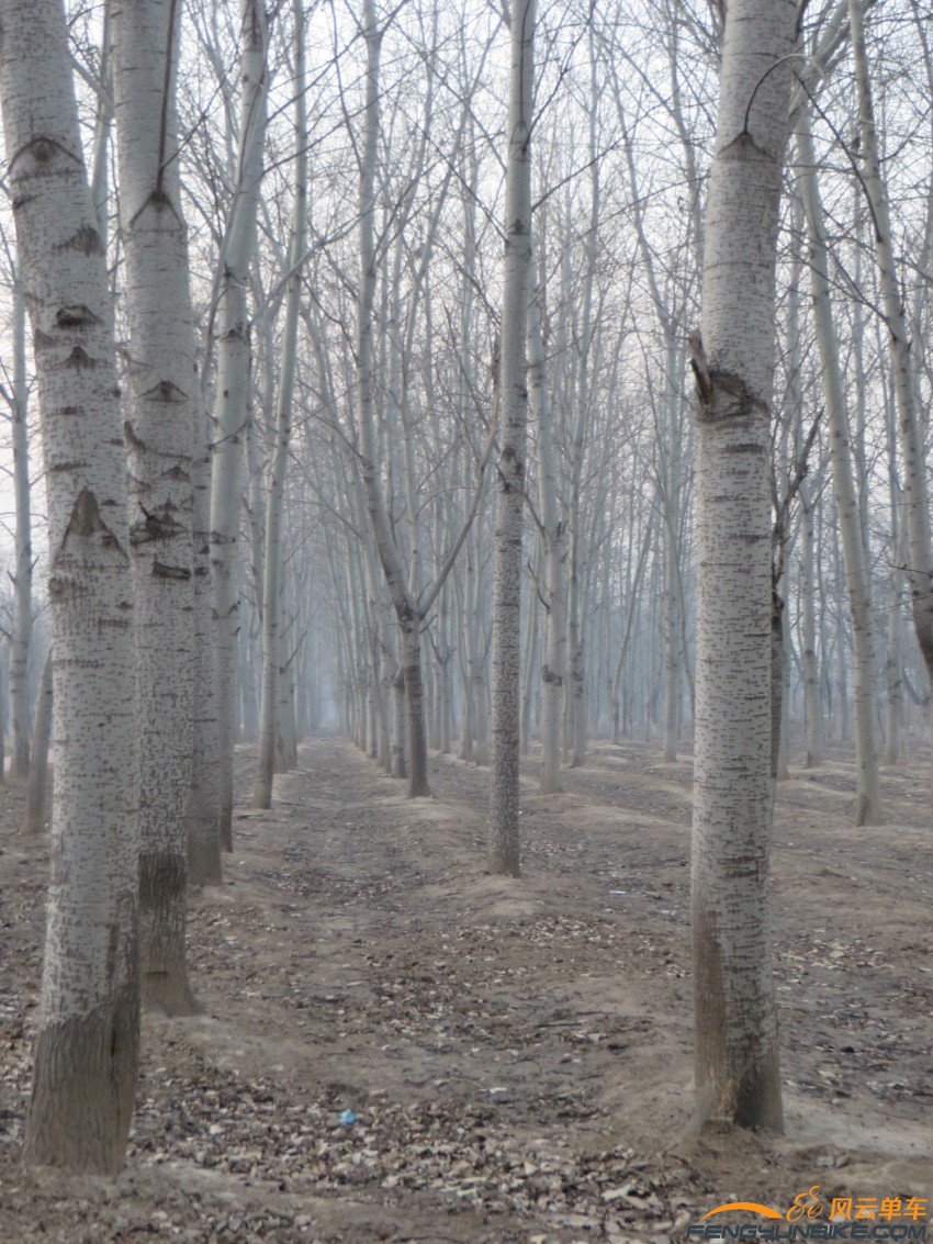 照片 4066_conew1.jpg