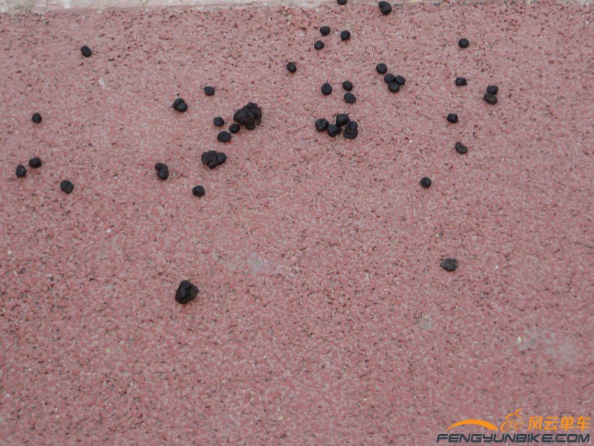 照片 4064_conew1.jpg