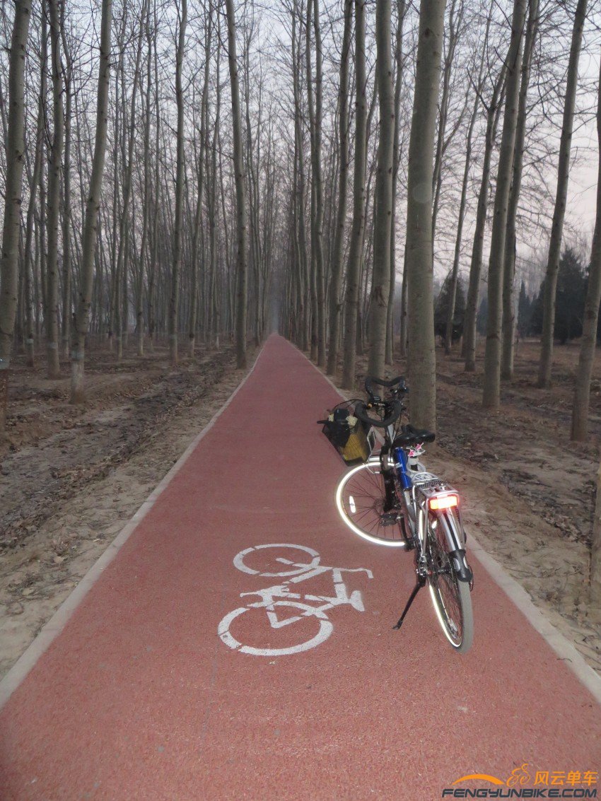 照片 4074_conew1.jpg