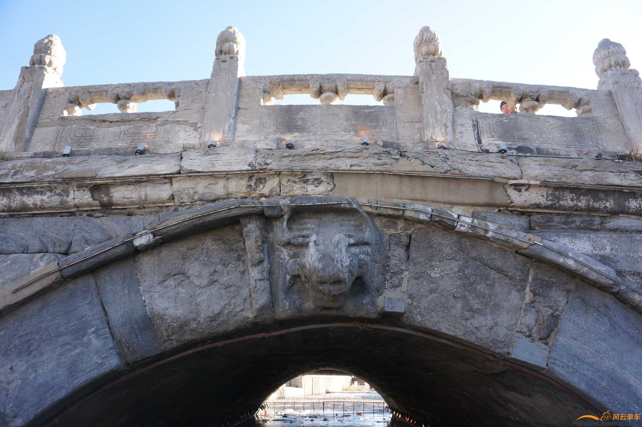 胡同串子 护水神兽...jpg