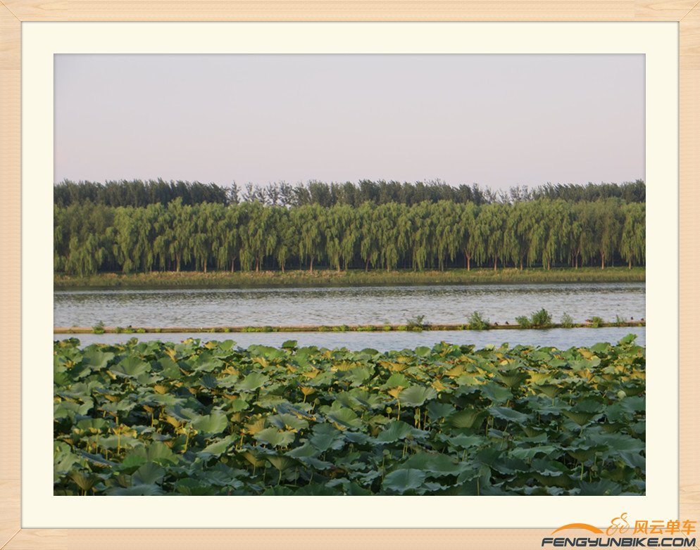 照片 764_副本.jpg