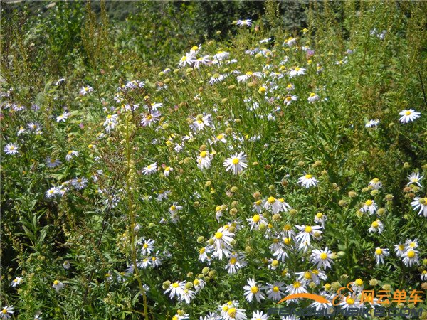 9月7日再骑玻璃台加东指壶 058.jpg