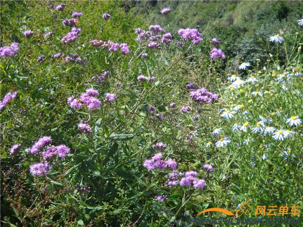 9月7日再骑玻璃台加东指壶 059.jpg