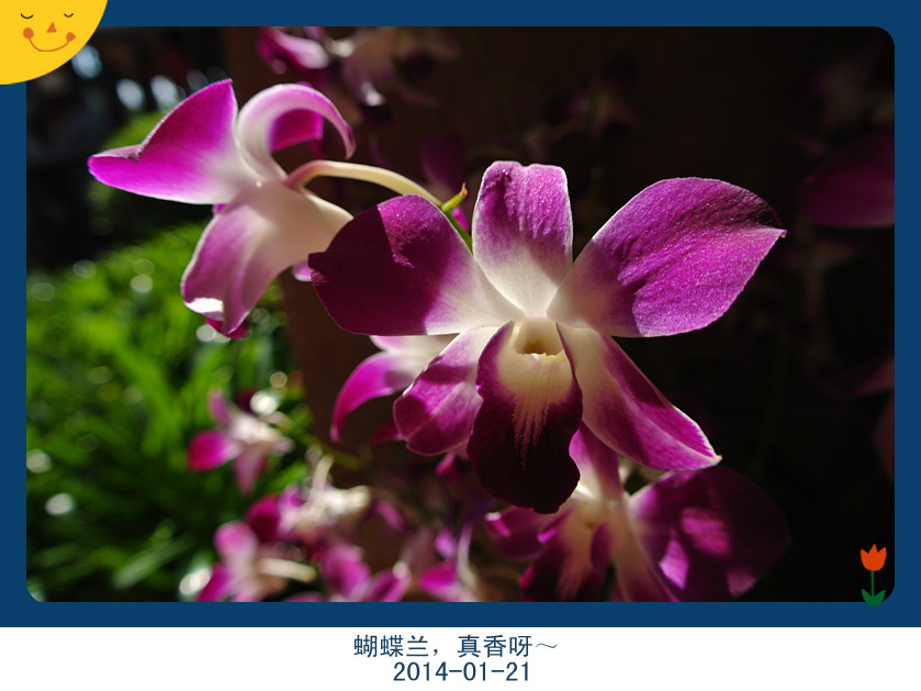 163640e3tkkmqtypbtkyyu_副本.jpg