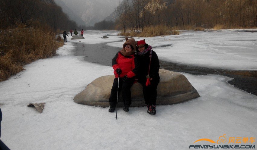 看看谁更萌？小莉的狗熊帽子再配付熊掌比较合适