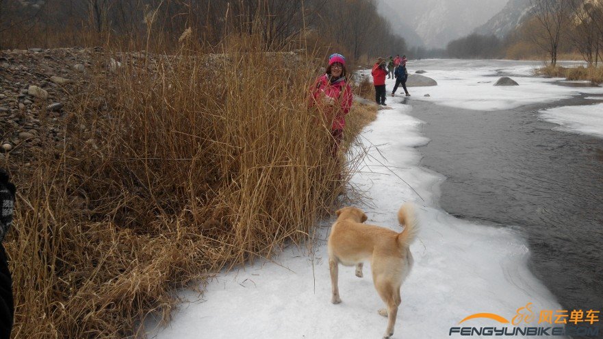 蹲下的取景效果会更好，你觉得呢？