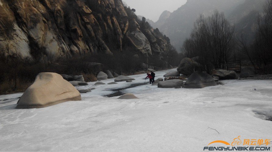 你们俩是在为今天的午饭找材料么，动物世界好像有这样的镜头