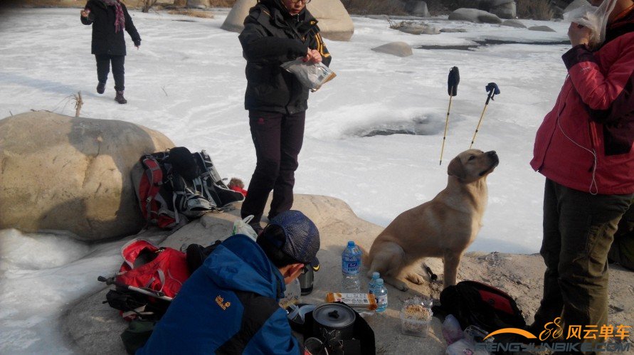 默默姐 给口呗..三多眼巴巴的等待着