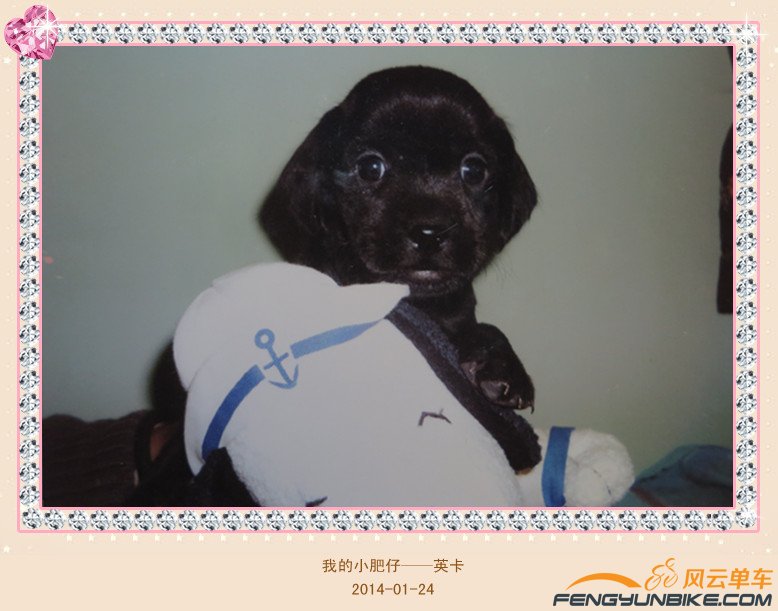 照片 4292_副本.jpg