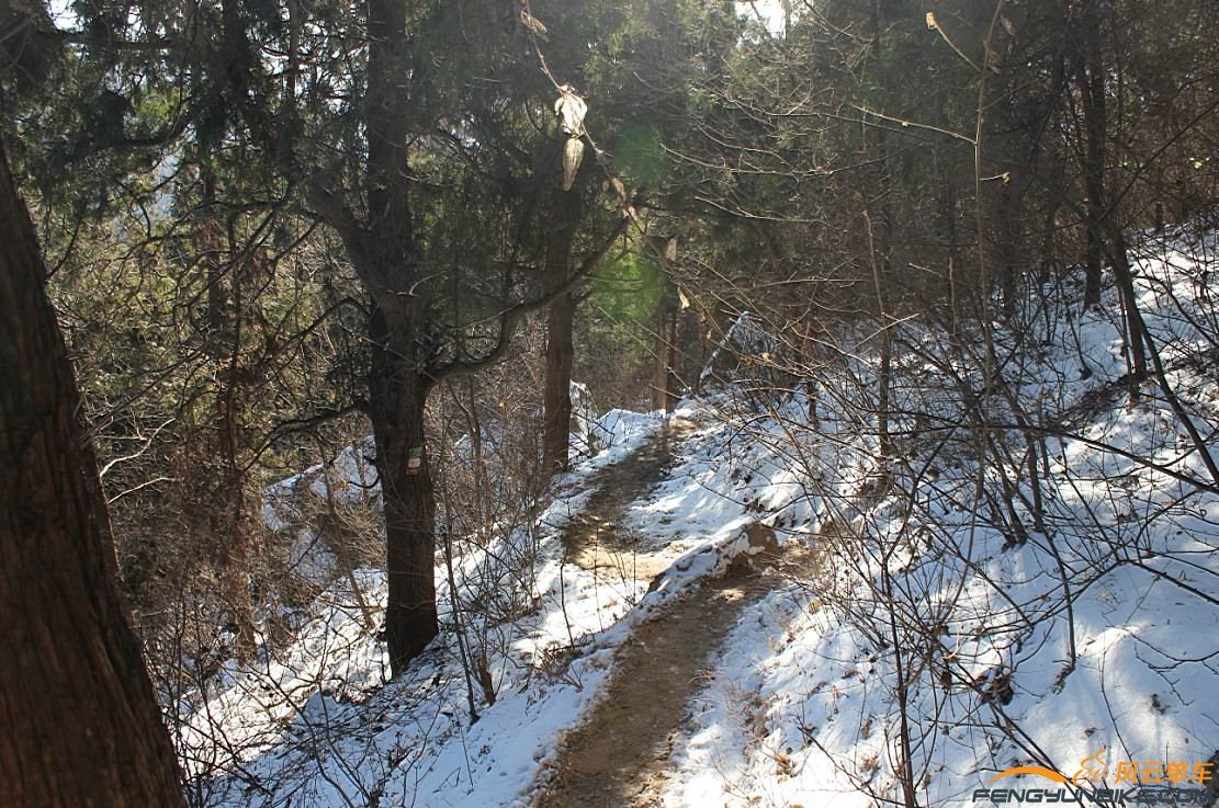 雪中小路