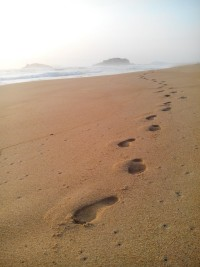 你从哪里来？~~