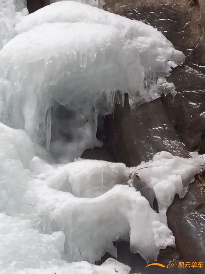 有点大白熊的样子