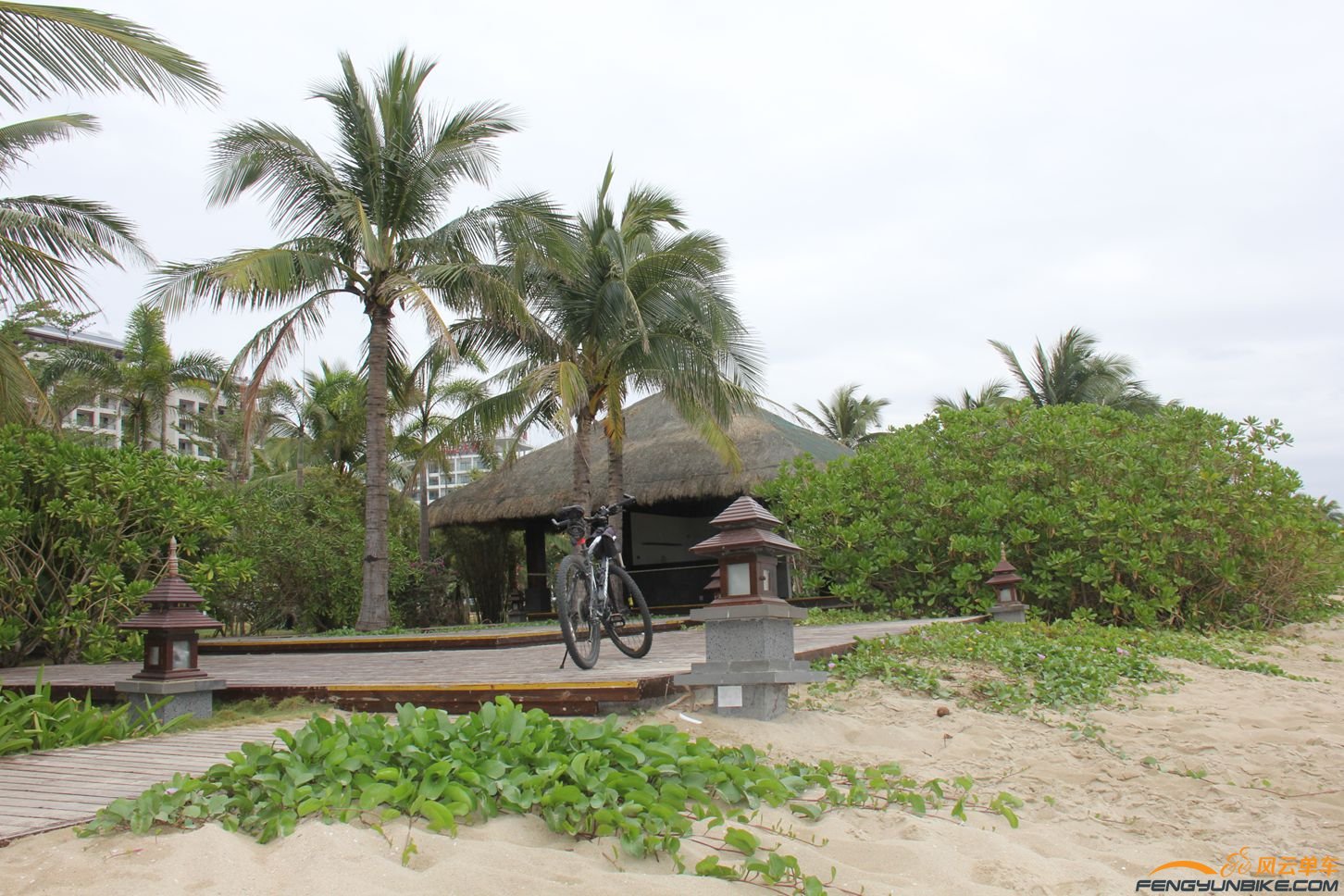 海南 371.jpg