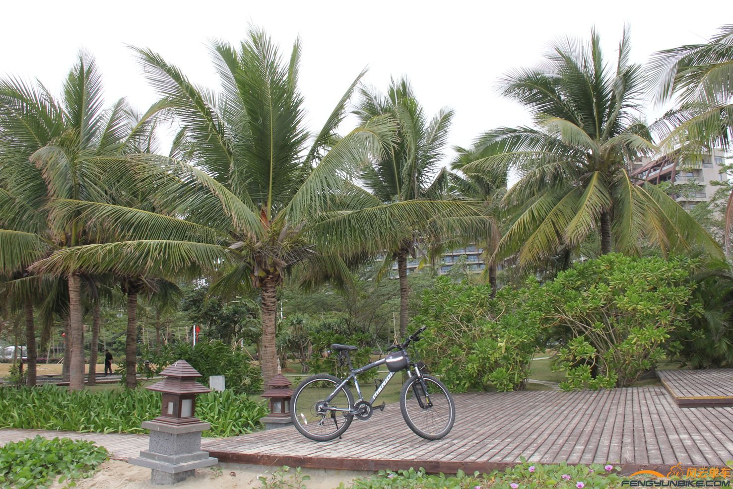 海南 372.jpg