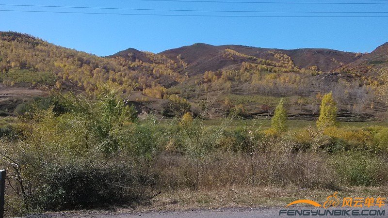 很可惜手机不能展现它最真实的美感