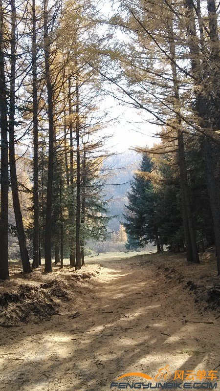 想起了暮光之城