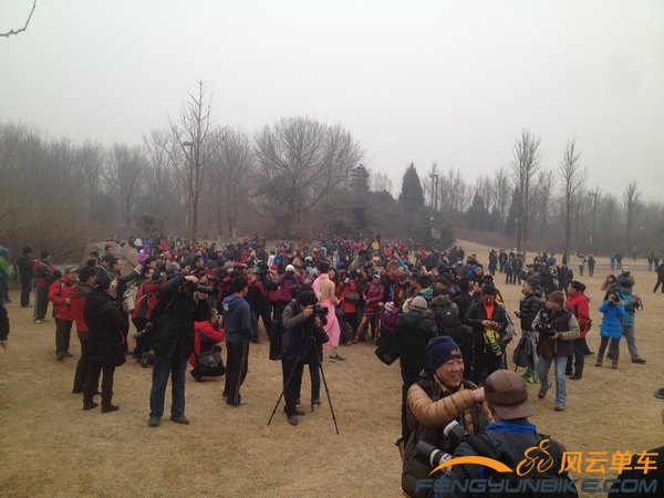 nEO_IMG_20140223 007.jpg