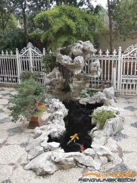 假山鱼池和松树